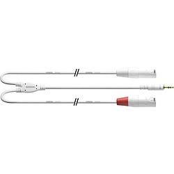 Foto van Cordial cordial audio adapterkabel [1x jackplug male 3,5 mm - 2x xlr-bus] 1.50 m wit