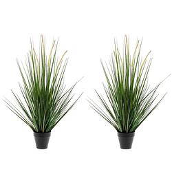 Foto van Set van 2x stuks kunstplanten groen gras sprieten 69 cm. - kunstplanten