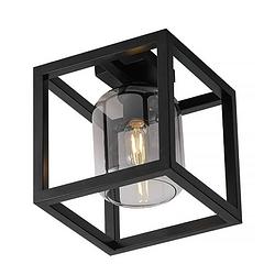 Foto van Freelight plafondlamp dentro b 26 cm rook glas zwart