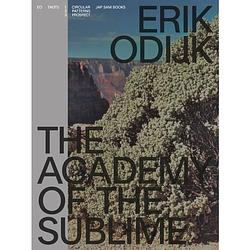 Foto van Erik odijk. the academy of the sublime