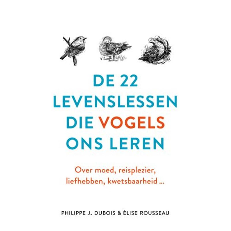 Foto van De 22 levenslessen die vogels ons leren