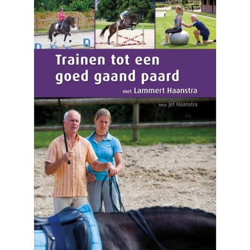 Foto van Trainen tot een goed gaand paard