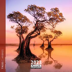 Foto van Arbres - trees kalender 2023