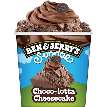 Foto van Ben & jerry'ss ijs chocolotta cheesecake sundae 427ml bij jumbo