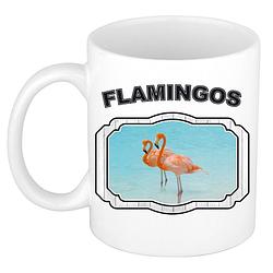 Foto van Dieren flamingo beker - flamingos/ flamingo vogels mok wit 300 ml - feest mokken