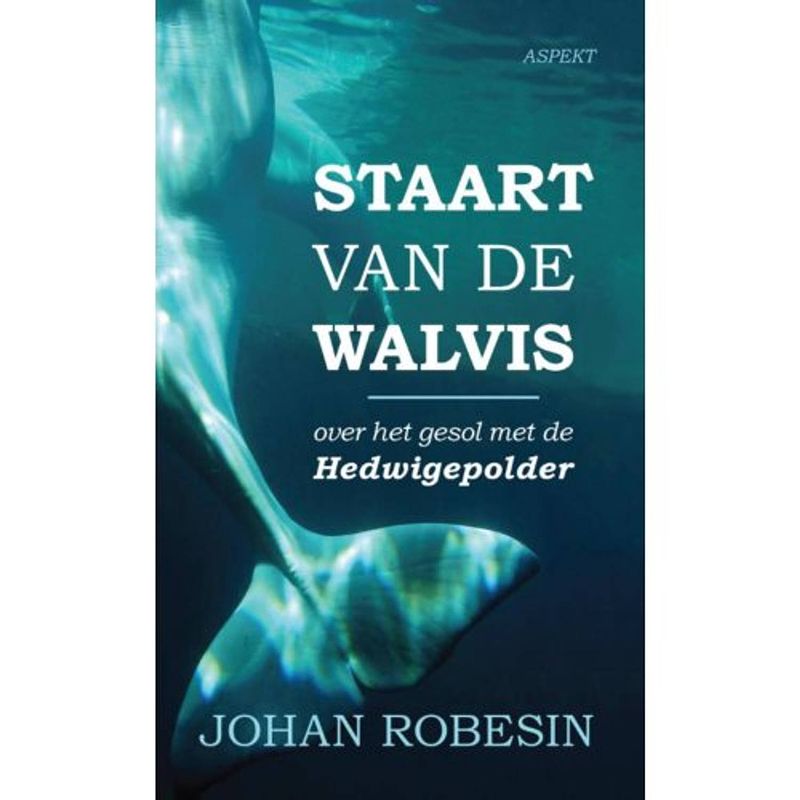 Foto van Staart van de walvis