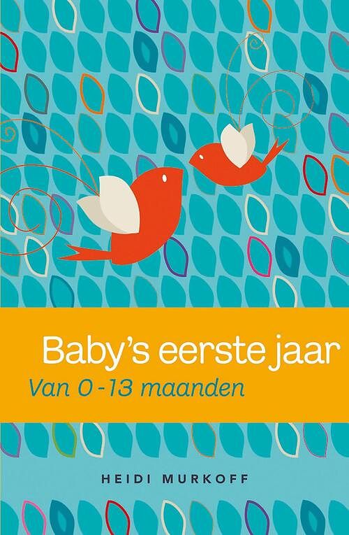 Foto van Baby's eerste jaar - heidi murkoff - ebook (9789000305889)