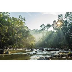 Foto van Spatscherm zonnige rivier - 100x65 cm