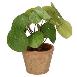 Foto van Kunstplant pilea pannekoekplant groen in pot 25 cm - kunstplanten