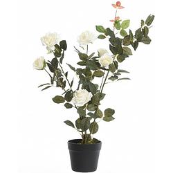 Foto van Groene/witte rosa/rozenstruik kunstplant 80 cm in zwarte pot - kunstplanten