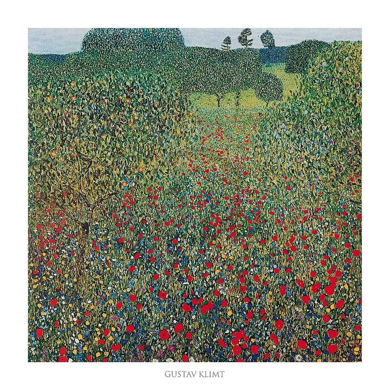 Foto van Gustav klimt - campo di papaveri kunstdruk 70x70cm