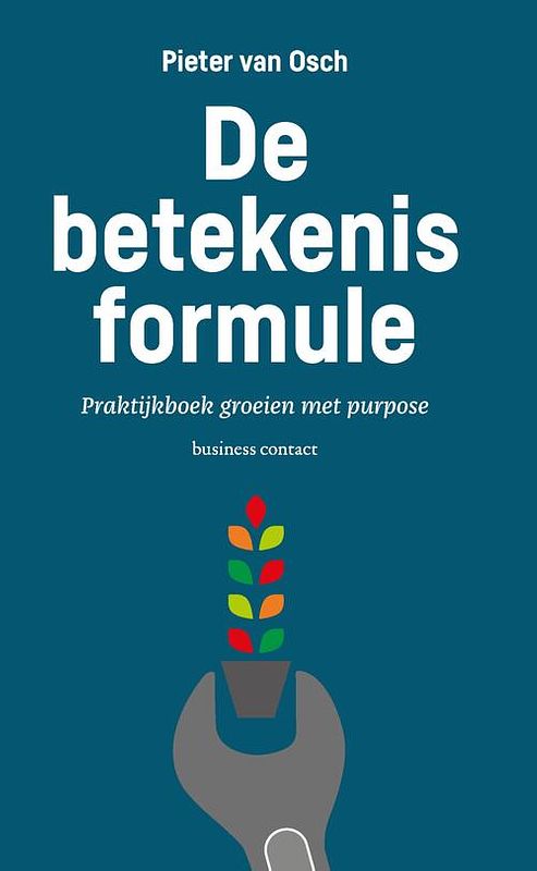 Foto van De betekenisformule - pieter van osch - ebook (9789047012245)