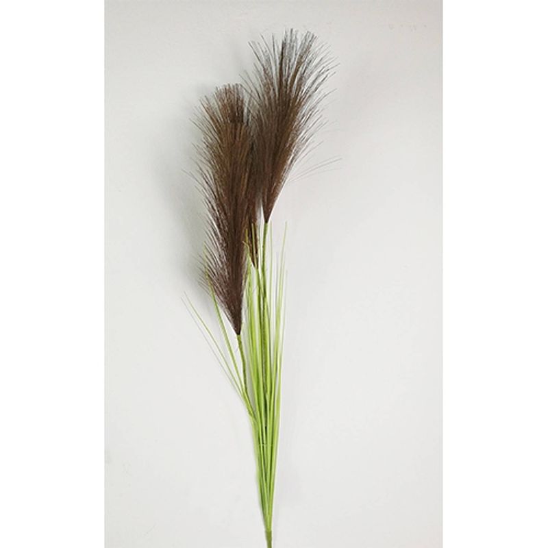 Foto van Pampas gras 80cm met blad bruin