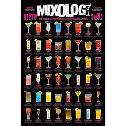 Foto van Pyramid mixology poster 61x91,5cm