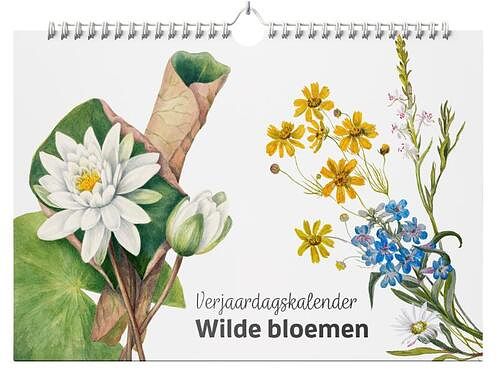 Foto van Verjaardagskalender wilde bloemen - studio colori - paperback (9789492598646)