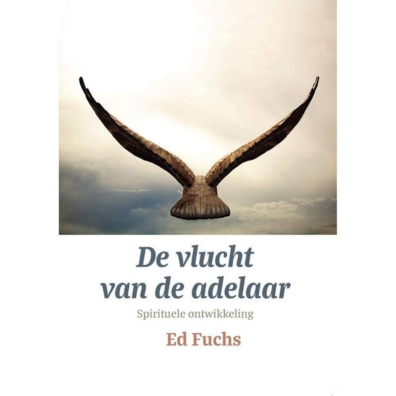 Foto van De vlucht van de adelaar