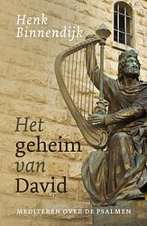 Foto van Het geheim van david - henk binnendijk - ebook