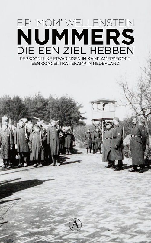 Foto van Nummers die een ziel hebben - e.p. mom wellenstein - ebook (9789025370497)