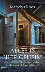 Foto van Alles is hier geheim - marielys roos - ebook (9789460037627)