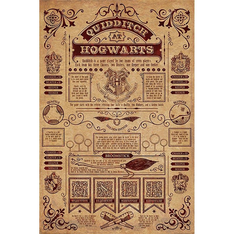 Foto van Pyramid harry potter quidditch at hogwarts poster 61x91,5cm