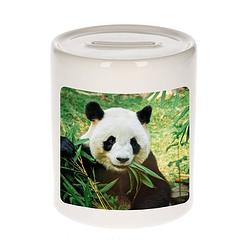 Foto van Dieren foto spaarpot panda 9 cm - pandaberen spaarpotten jongens en meisjes - spaarpotten