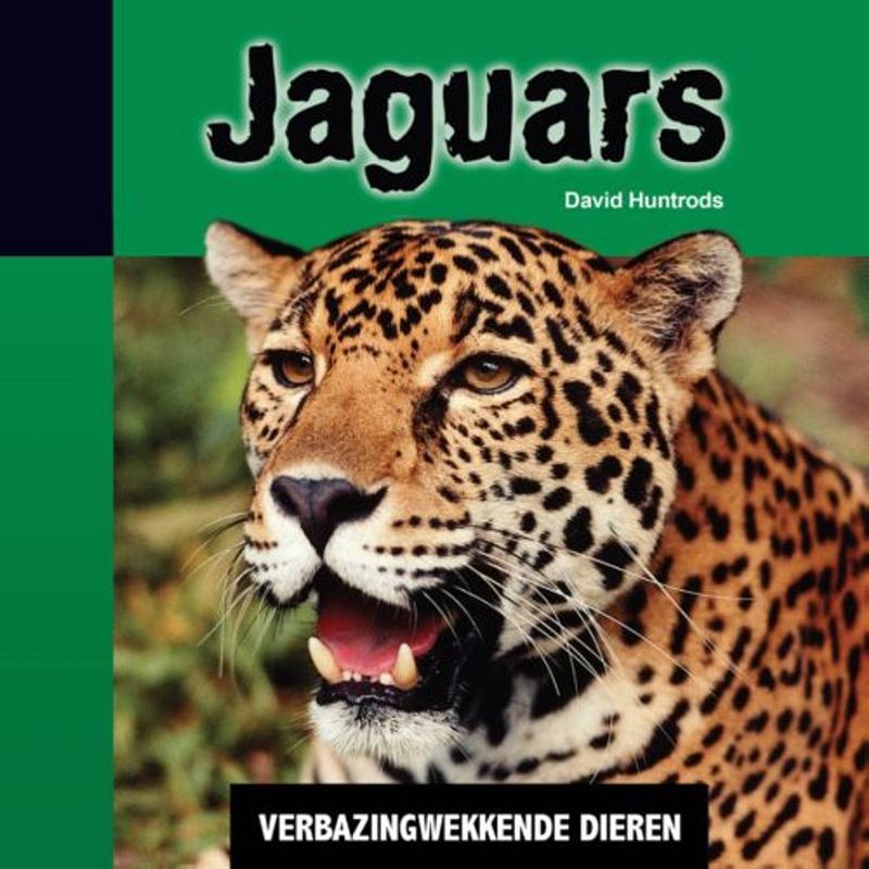 Foto van Jaguars - verbazingwekkende dieren