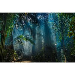 Foto van Inductiebeschermer - heldere jungle - 82x52 cm