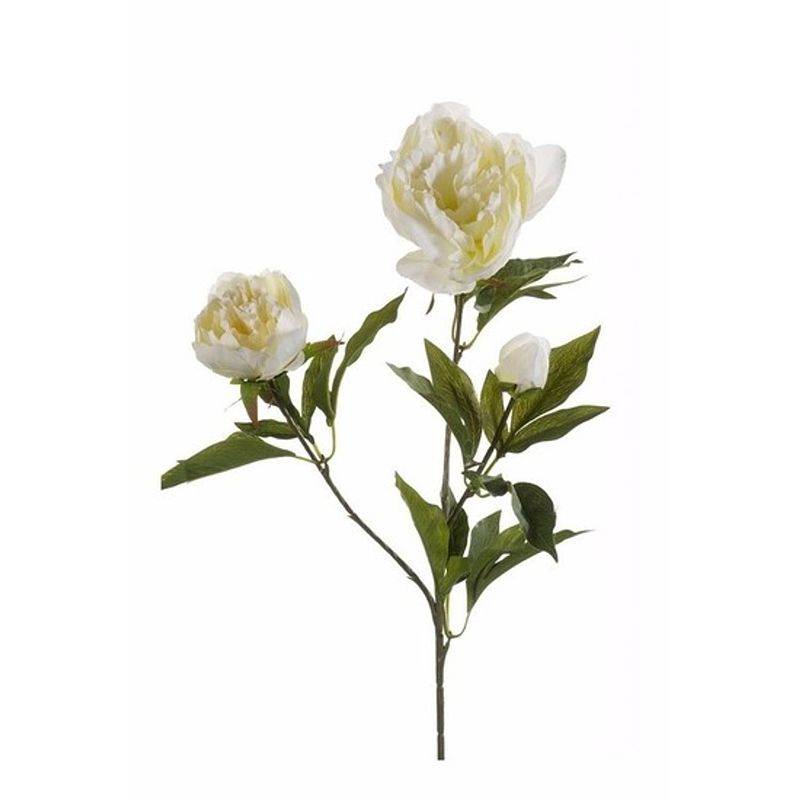 Foto van Kunstbloem pioenrozen tak 70 cm wit - kunstbloemen