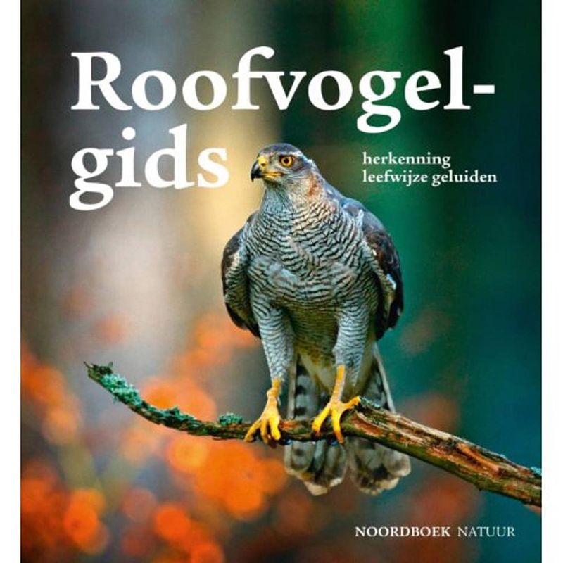 Foto van Roofvogelgids