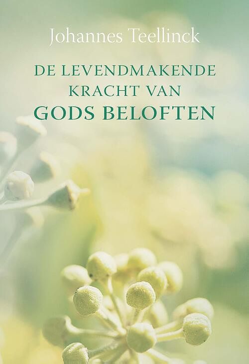 Foto van De levendmakende kracht van gods beloften - johannes teellinck - ebook (9789462789845)