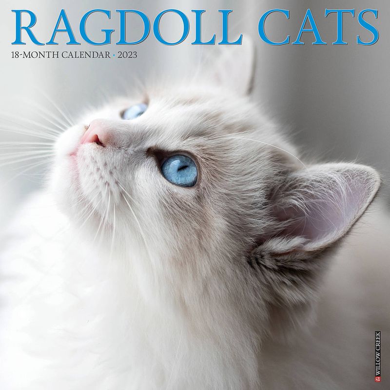 Foto van Ragdoll kalender 2023