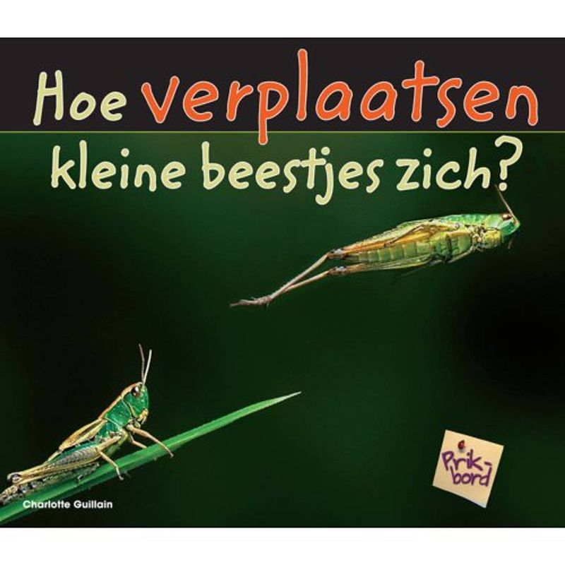 Foto van Hoe verplaatsen kleine beestjes zich - prikbord