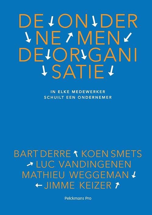 Foto van De ondernemende organisatie - bart derre - ebook (9789463370936)