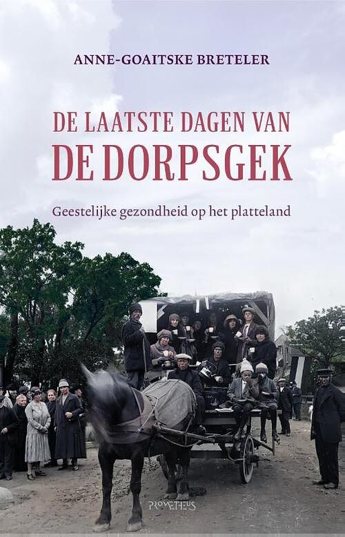 Foto van De laatste dagen van de dorpsgek - anne-goaitske breteler - paperback (9789044644814)