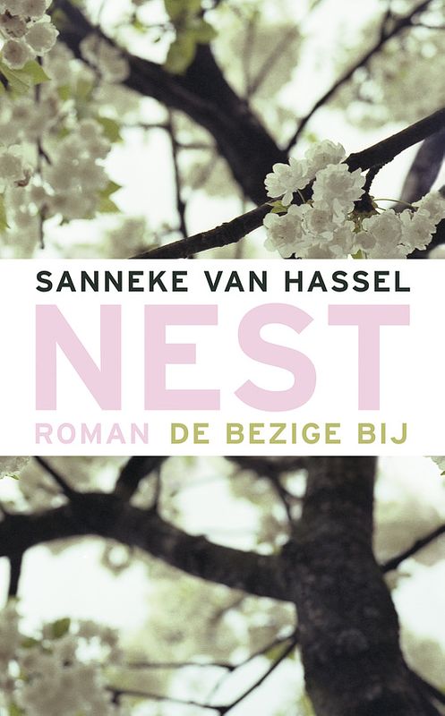 Foto van Nest - sanneke van hassel - ebook (9789023443841)