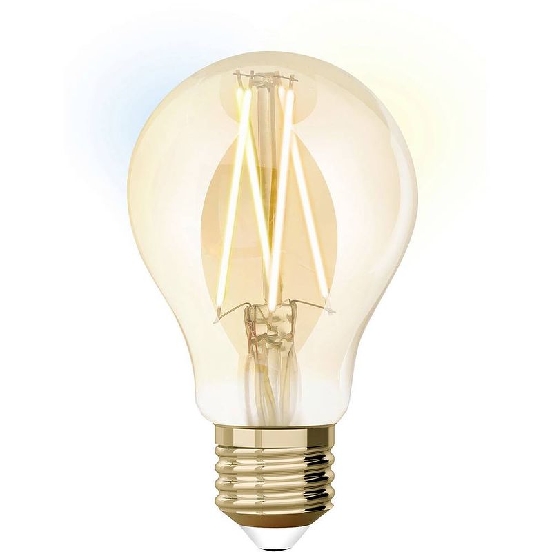 Foto van Lutec je0126630 led-lamp energielabel e (a - g) e27 peer 9 w = 60 w warmwit tot neutraalwit (ø x l) 60 mm x 108 mm dimbaar, filament / retro-led 1 stuk(s)