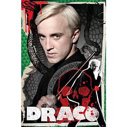 Foto van Gbeye harry potter draco poster 61x91,5cm