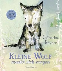 Foto van Kleine wolf maakt zich zorgen - catherine rayner - hardcover (9789048321438)