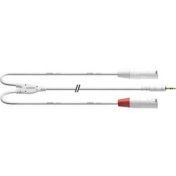 Foto van Cordial cordial audio adapterkabel [1x jackplug male 3,5 mm - 2x xlr-bus] 1.80 m wit