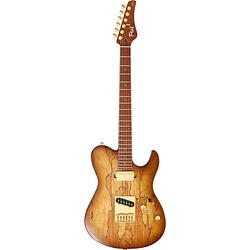 Foto van Fgn guitars expert iliad ew hojicha burst met koffer