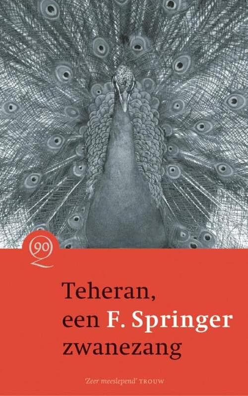 Foto van Teheran, een zwanezang - f. springer - ebook (9789021436241)