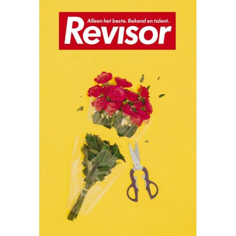 Foto van Revisor / 19 - revisor