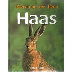 Foto van Haas - dieren om ons heen