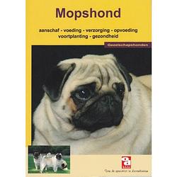 Foto van De mopshond - over dieren