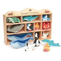 Foto van Tender leaf toys dierenset coastel 38 x 22 cm hout 31-delig