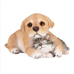 Foto van Esschert pup met kitten polyresin