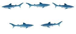 Foto van Safari speelfiguren haaien 2 cm blauw 192 delig