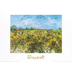 Foto van Vincent van gogh - the green vineyard kunstdruk 70x50cm