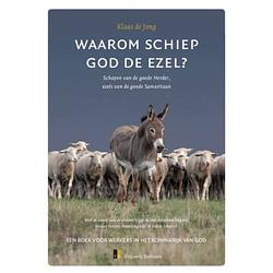 Foto van Waarom schiep god de ezel?