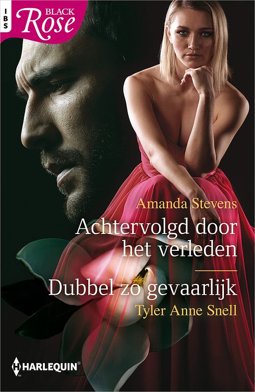 Foto van Achtervolgd door het verleden / dubbel zo gevaarlijk - amanda stevens, tyler anne snell - ebook